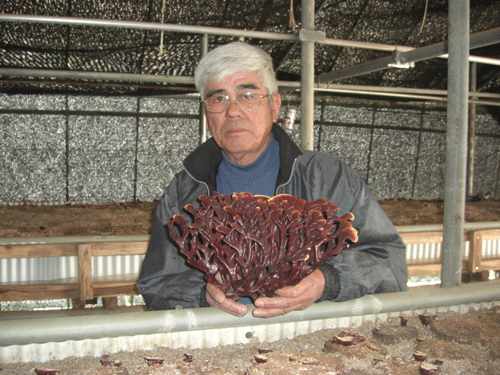 ���Y�Ҏᐙ��