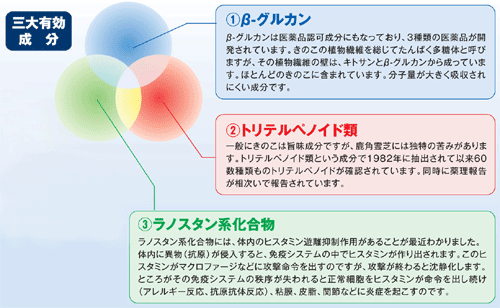 �O��L������